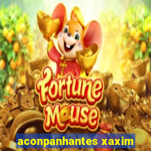 aconpanhantes xaxim