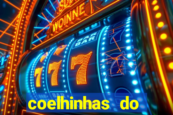 coelhinhas do brasil acompanhantes