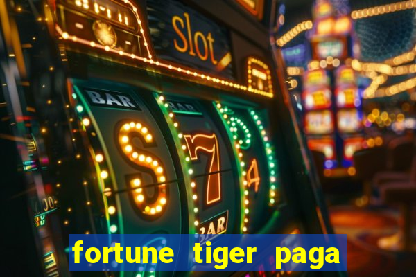 fortune tiger paga de madrugada