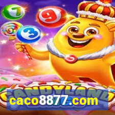 caco8877.com