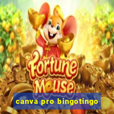 canva pro bingotingo