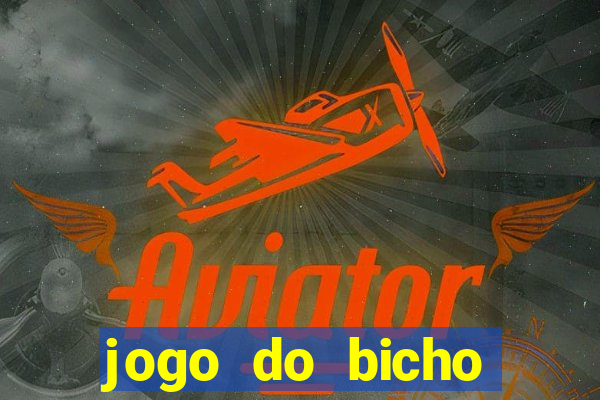 jogo do bicho documentario globoplay