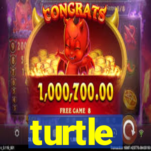 turtle-ty.com